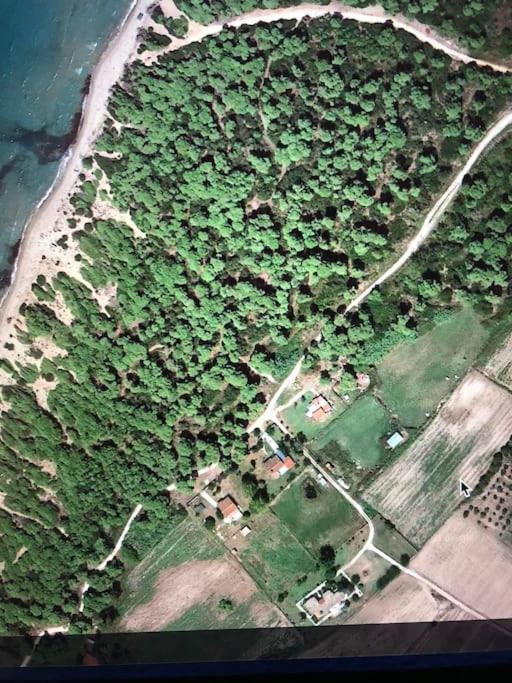 Villa Anastasia! In Strofylia Pine Forest!!! Manolas Екстер'єр фото