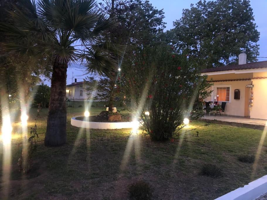 Villa Anastasia! In Strofylia Pine Forest!!! Manolas Екстер'єр фото