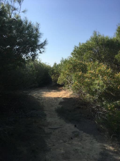 Villa Anastasia! In Strofylia Pine Forest!!! Manolas Екстер'єр фото